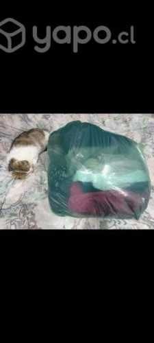 Lote con 22 prendas mujer/hombre