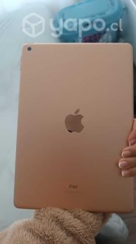 IPad Apple 7th Generation 2019 Agb Gol