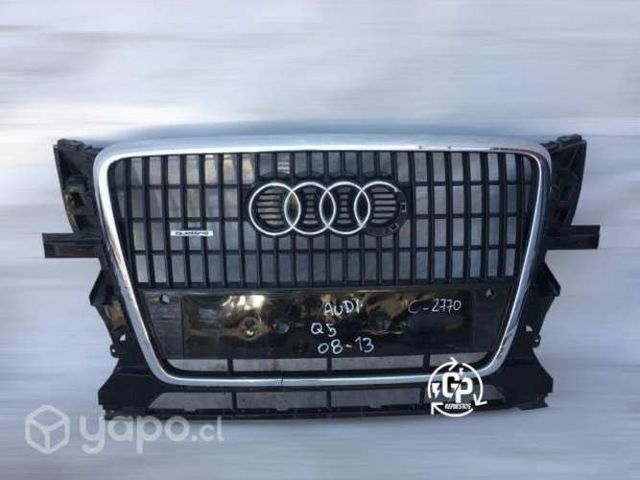 Mascara audi q