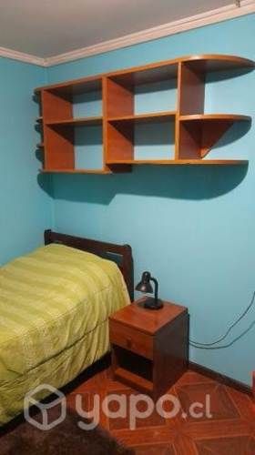 Pieza independiente en sedeño las ánimas.