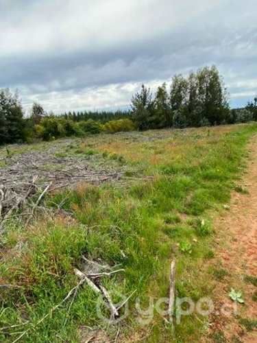 Terreno de 2.600 metros cuadrados