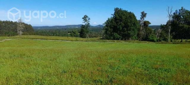 Hermosa Parcela en Osorno