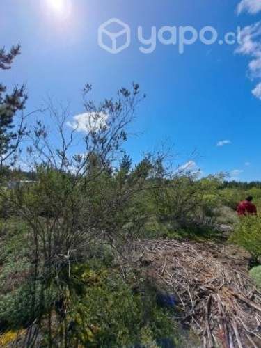 Campo de 1 hectarea en campanario