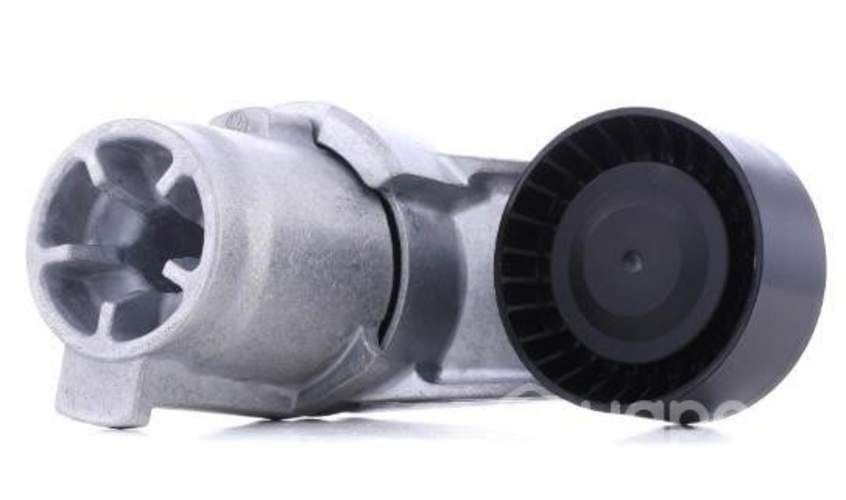 Tensor de correa BMW X5/X6/7/5/X3/6/1/3/6/3GT/4/2+