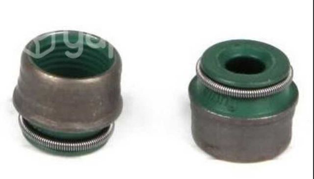 Reten de valvula Porshe Boxter/911/Cayenne/Cayman