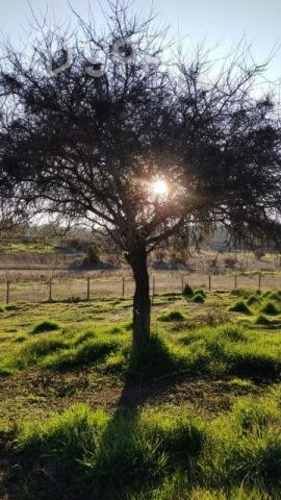 Vendo Parcela en Lomas de Litueche