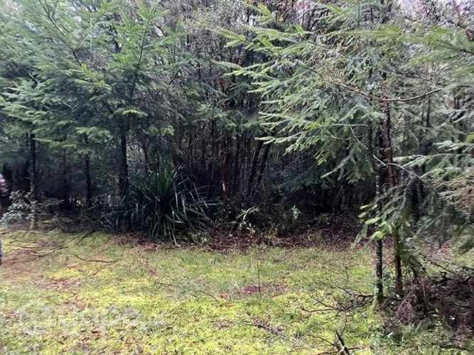 Parcelas en Valdivia