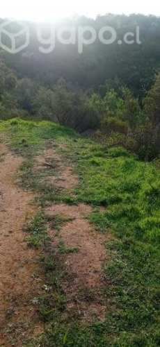 Parcela limache las Mellizas