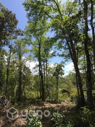 Parcela en Metreñehue