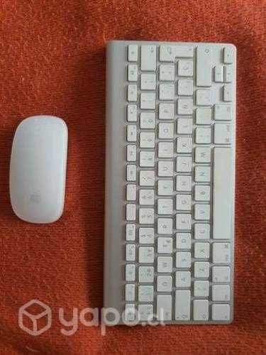 Teclado y Mouse Apple impecables