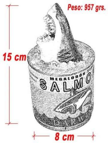 REGALO ORIGINAL - Megalodón Tipo Salmón