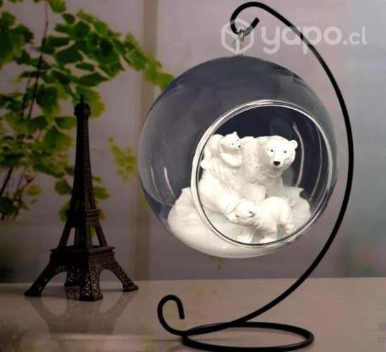 Regalo Original: Mamá Osa y Cachorros