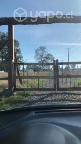 parcela media hectárea camino Cunco