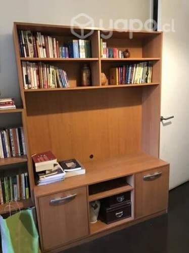 Mueble melamina TV living