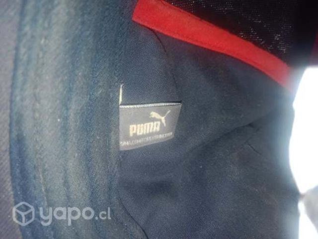 Gorra/Jockey Puma edición redbull