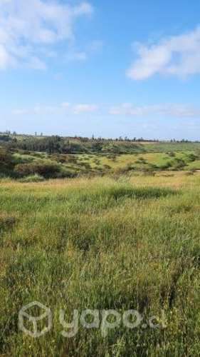 Parcela gran de inversión