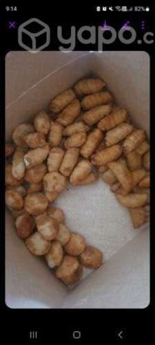 !pasapalos tipo coctel !!