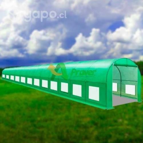 Invernadero 36 m2 medida 12*3*2
