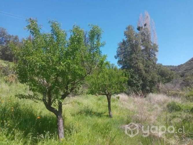 Parcela con casa en Caleu