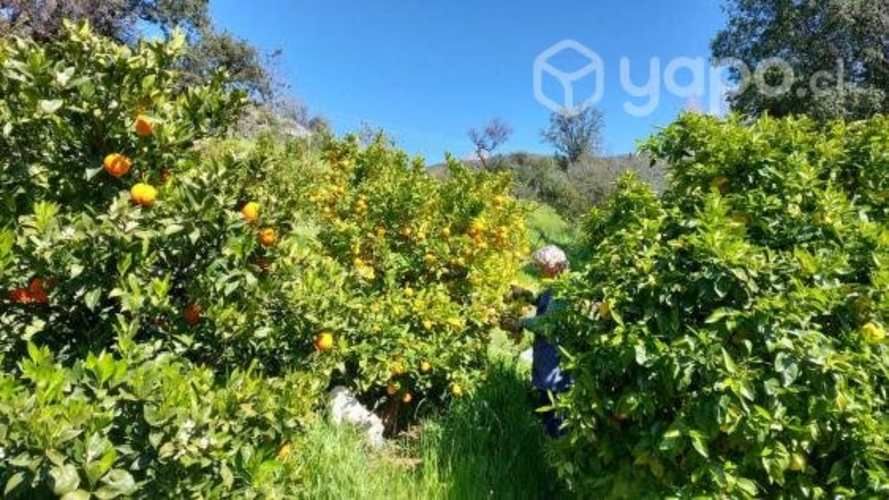 Parcela con casa en Caleu