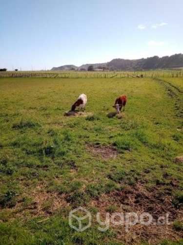 Terreno urbano en Pullay, Cobquecura (Playa)