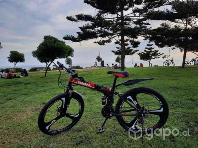 Bici para paseo o campin