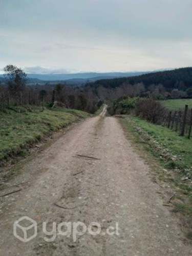 Predio agrícola de 12,5 hectáreas