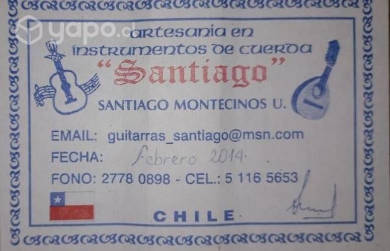 Guitarra de 10 cuerdas