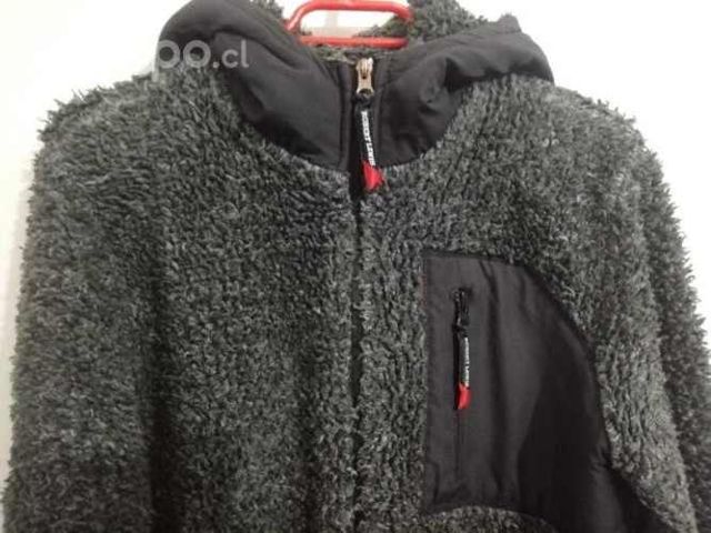 Poleron robert lewis