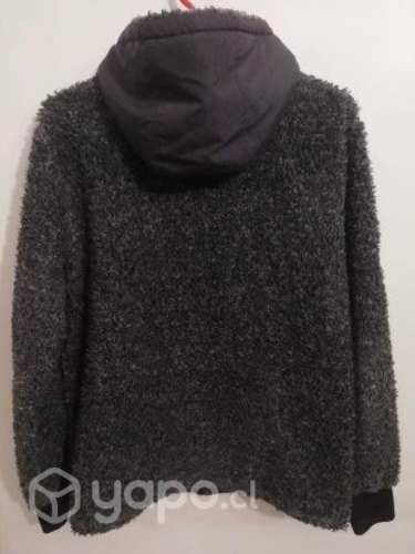 Poleron robert lewis