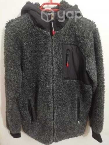 Poleron robert lewis