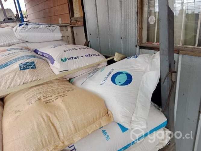 Avena y maíz chancao