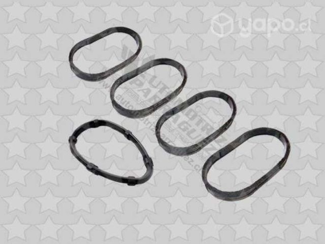 Orings multiple admision Platina, Clio, Megane, ot
