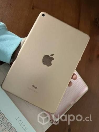 IPad mini 5 generación + Apple Pencil 1 generación