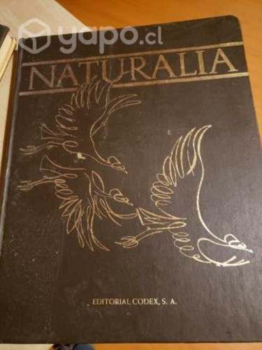 Libros de Enciclopedia