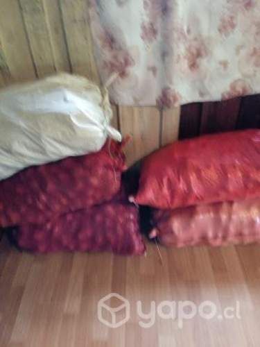 5 sacos de semilla de papá rossi