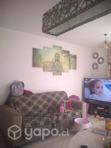 Se puede ver a partir de la primera semana de enero 2025