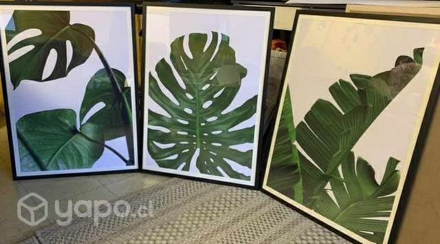 Set 3 Cuadros decorativos nuevos. Tamaño 50x70 c/u