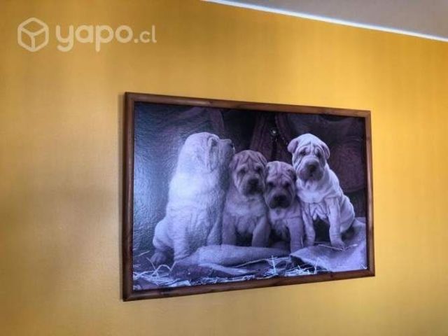 Cuadro de madera nativa en excelente estado