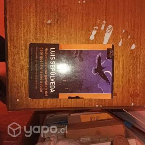 Historia de una gaviota y del pájaro que le enseño