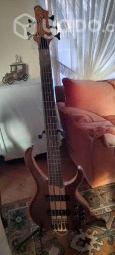 Bajo BTB675 Ibanez y Case de bajo Rockcase