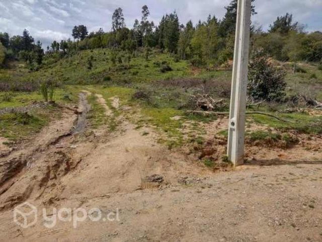 Parcela de 1 hectarea