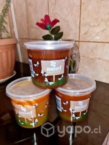 Miel de abeja 1 kilo