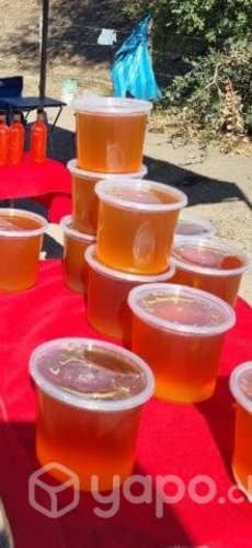 Miel natural por mayor