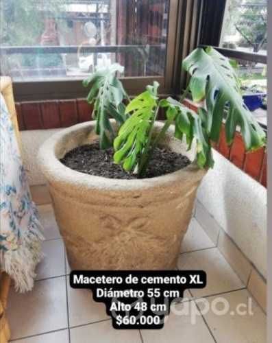 Macetero de cemento XL