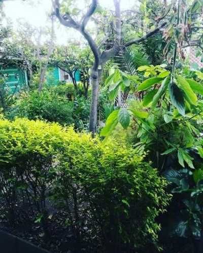 Habitación amoblada para una persona