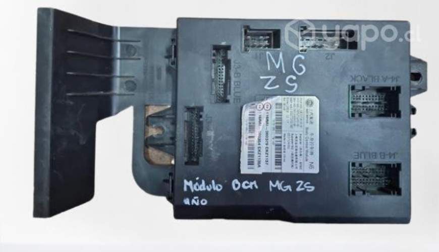 Modulo Bcm Mg Zs año 2019-2023