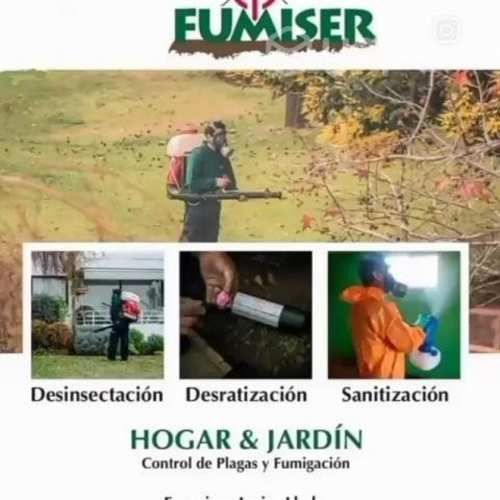 Control de Plagas