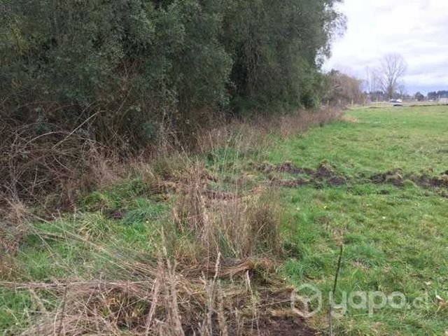 Mantención de parcela corte de pasto