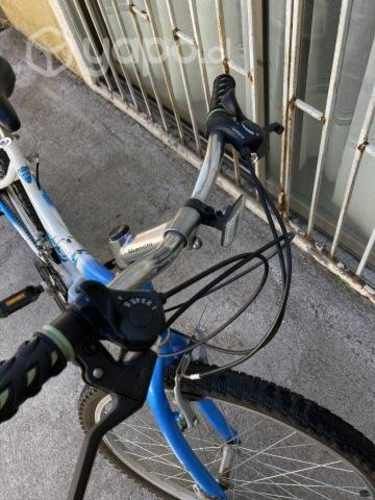 Bicicleta bianchi classic mujer